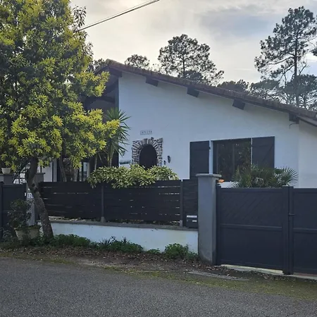 Zaphira 구장메스트라