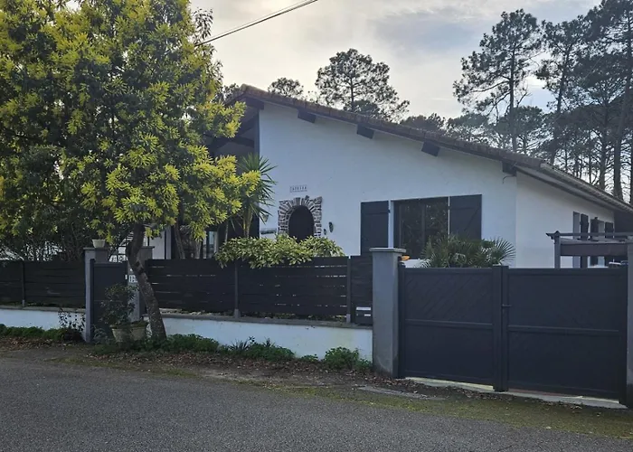 Zaphira Gujan-Mestras